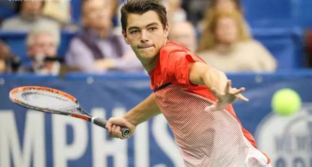 凤凰城的球 凤凰城的球