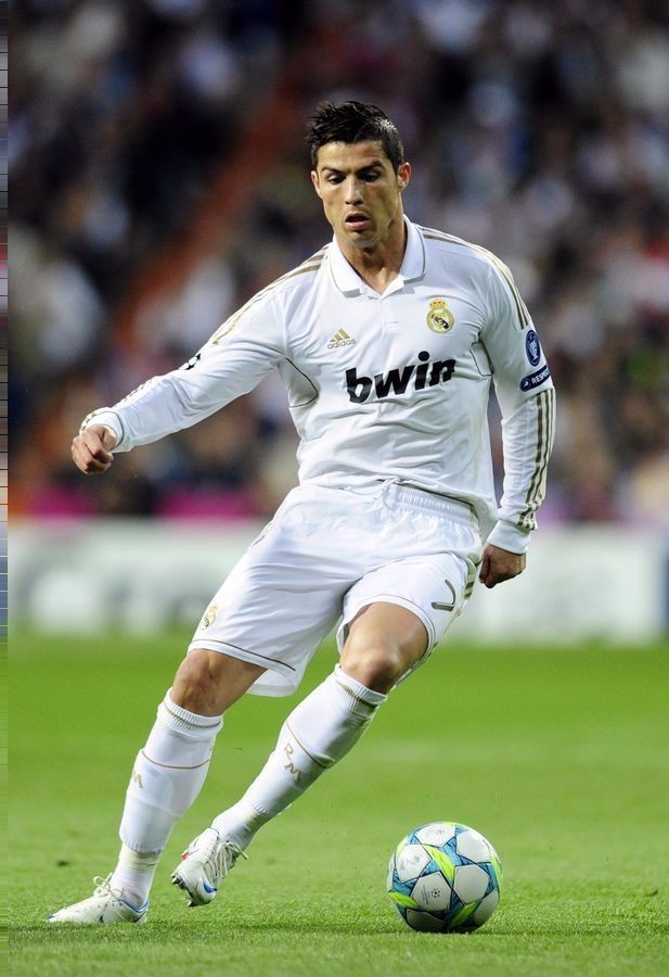 高度提供了 高度提供了