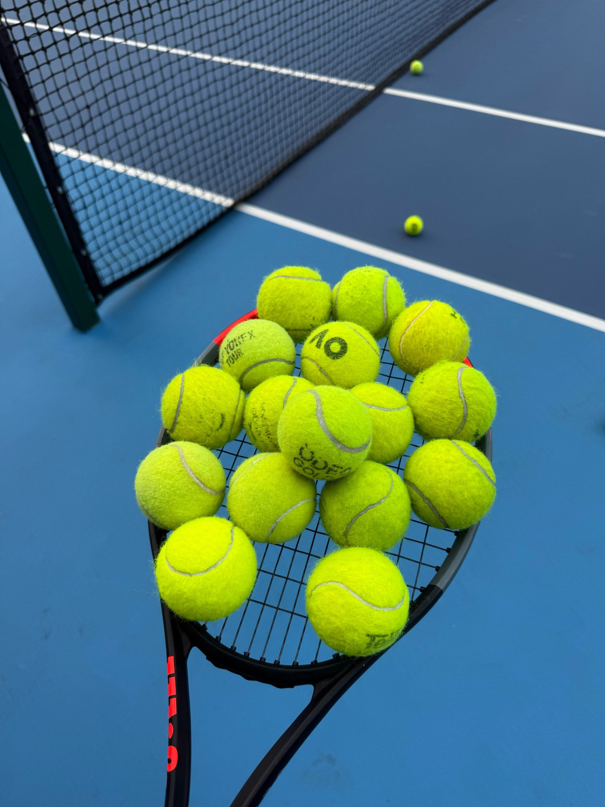 通过政府 通过政府