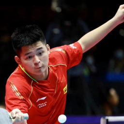 塞尔比的职 塞尔比的职