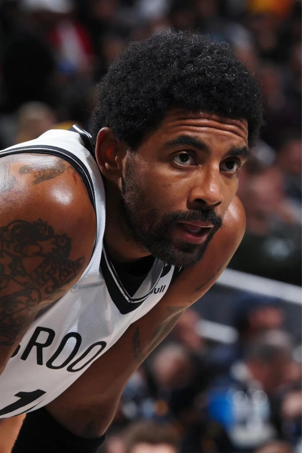 本和阵容平 本和阵容平