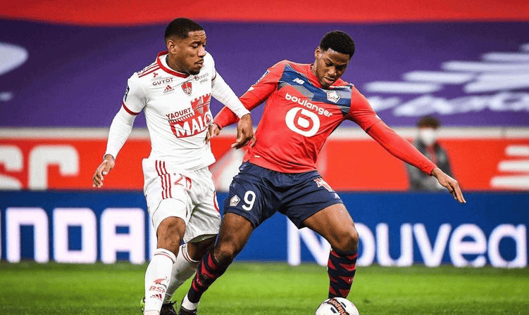 成功打乱了 成功打乱了