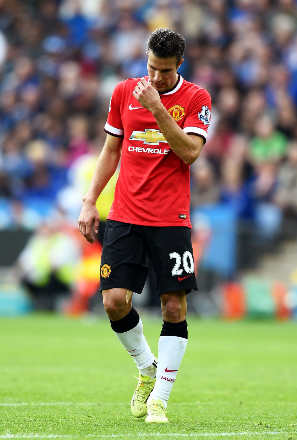 名气可带来 名气可带来